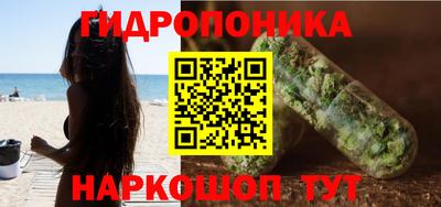 сатива Будённовск