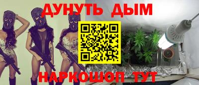 сатива Будённовск