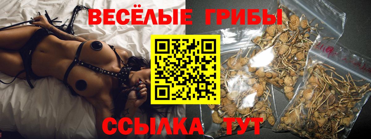 Псилоцибиновые грибы прущие грибы  Галлюциногенные грибы Magic Shrooms  Мыски  Вход с VPN 